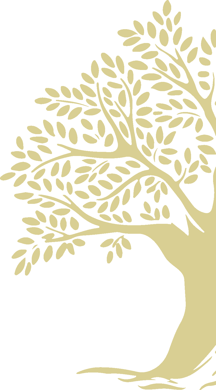 2023_01_27 Arbres DRET CAQUI