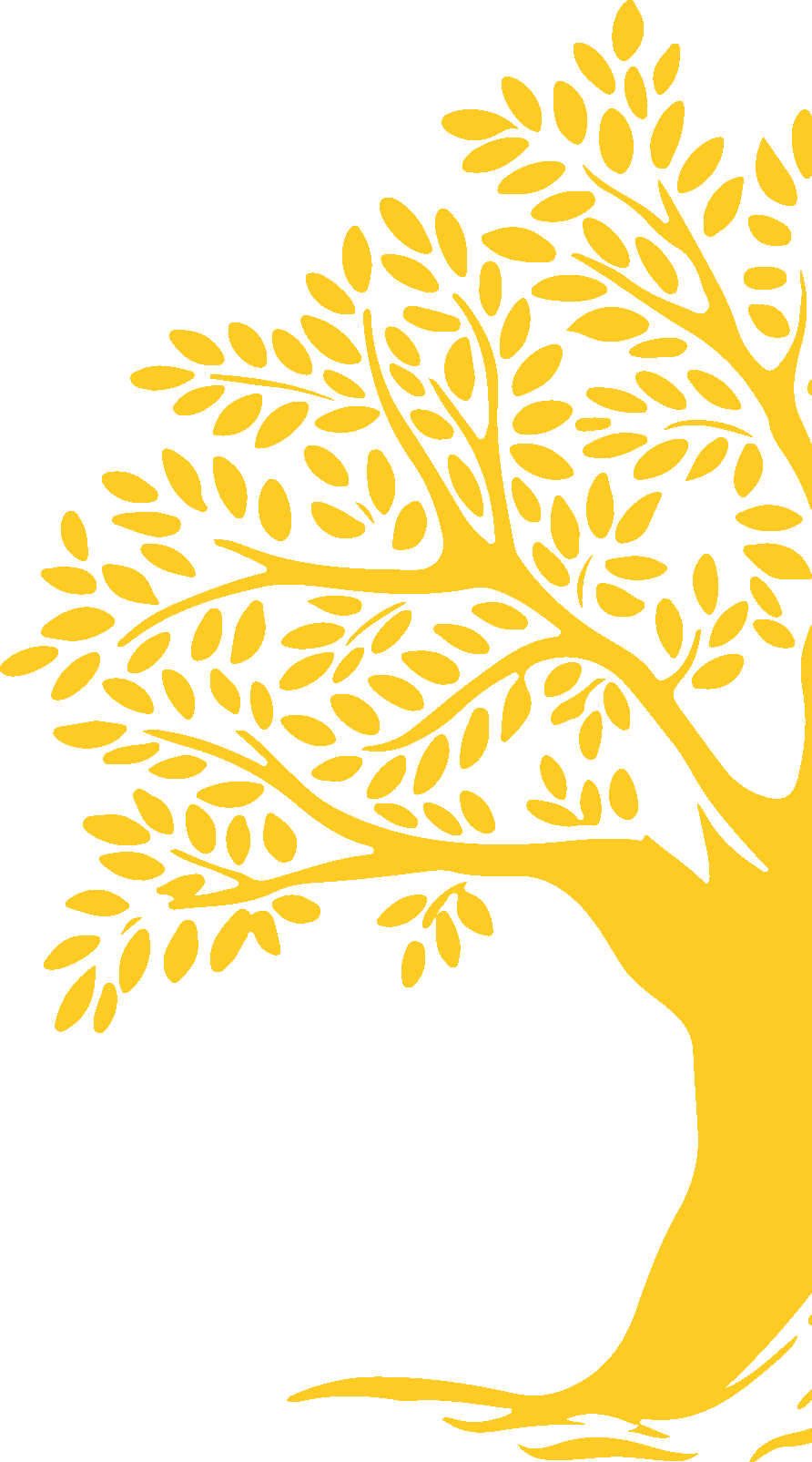Arbre DRETA
