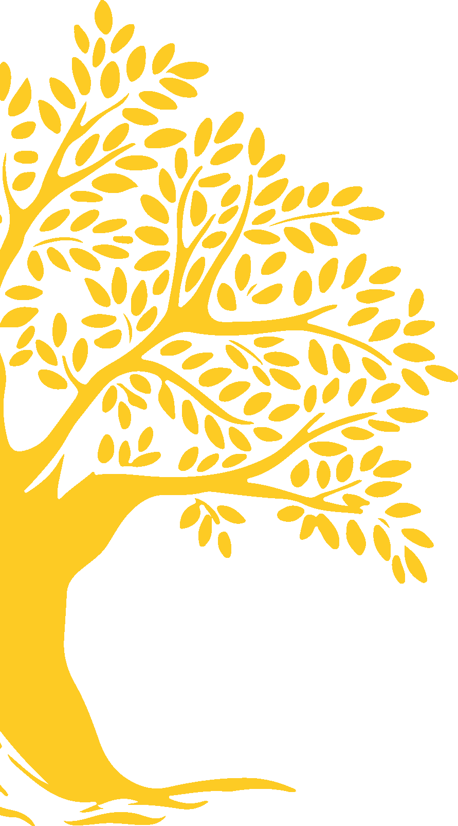 Arbre ESQUERRE