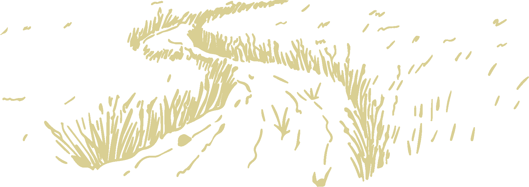 Caminet de terra